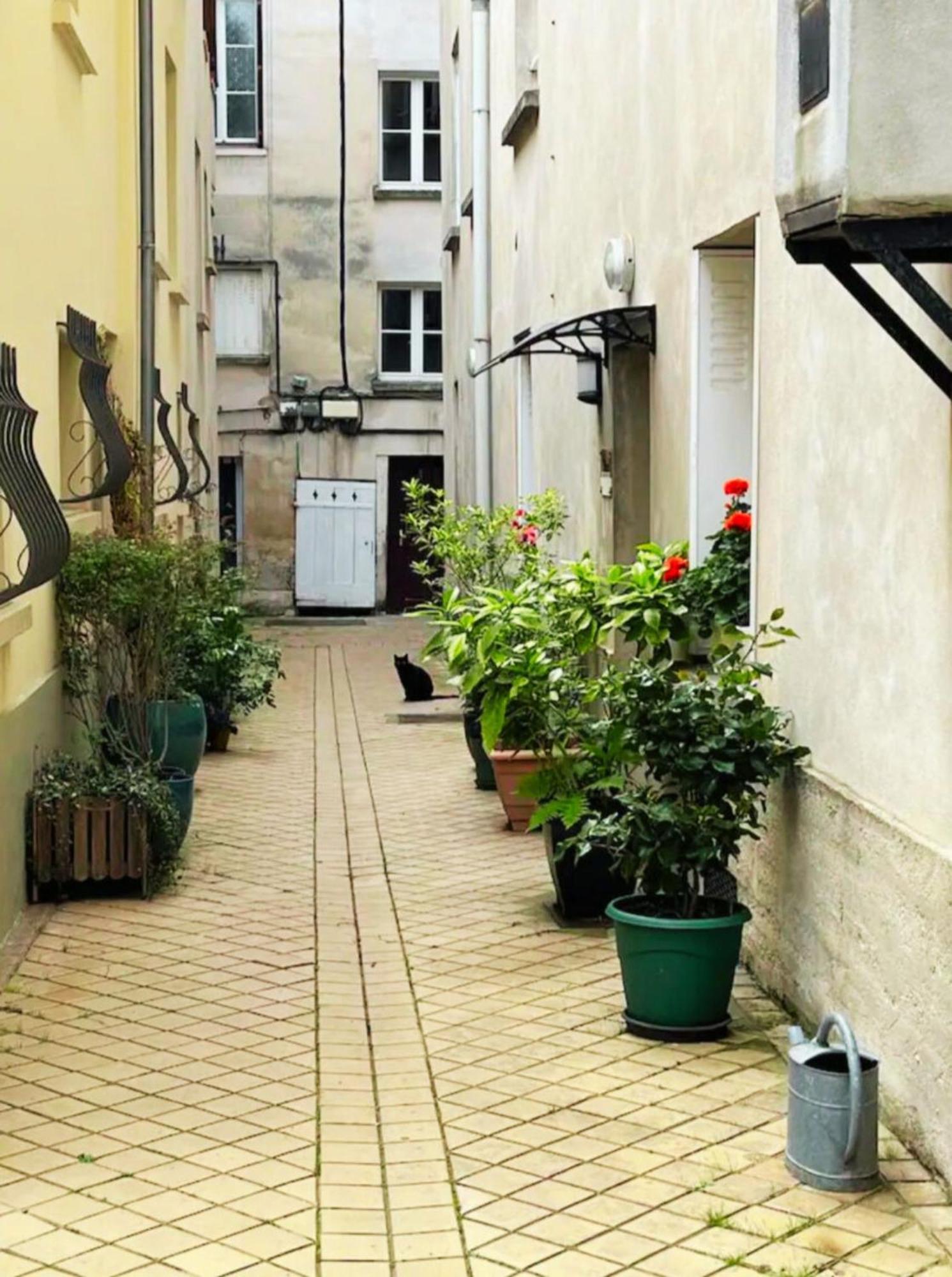 Apartment Le Roy Soleil Classe 3 Etoiles Cosy & Coeur Du Quartier Saint-louis *